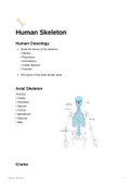 Lecture notes HUB2019F - Human Skeleton