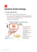 Lecture notes HUB2019F - Systemic Endocrinology