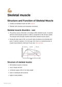 Lecture notes HUB2019F - Skeletal Muscle