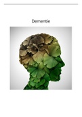 Uitwerking dementie
