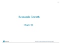 Macroeconomics- Chapter 24 Economic Growth summary
