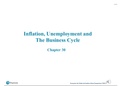Economics: Macroeconomics- Chapter 30 Inflation, Unemployment and The Business Cycle summary
