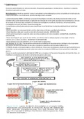 Clase de farmacología - Benzodiazepinas