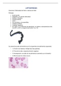 Leptospirosis: enfermedad de weil