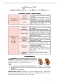Apuntes Anatomía Patológica y Citodiagnóstico 