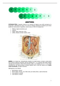 Apuntes de anatomía, fisiología y patología del aparato urinario