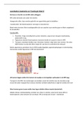 samenvatting anatomie en fysiologie blok D leerjaar 1 optometrie/orthoptie