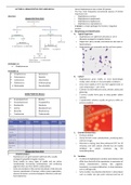 gram positive cocci and bacilli - Jawetz Microbiology