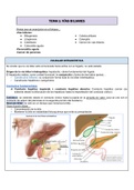 Cirugía: patologías de las vías biliares y pancreatitis