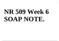 NR 509 Week 6 SOAP NOTE.
