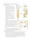 Samenvatting hoofdstuk 5 t/m 8 Essential Cell Biology, Humane Levenscyclus I VU, 2021