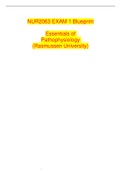 Exam (elaborations) Essentials Of Pathophysiology NUR2063 EXAM 1 Blueprint STUDY GUIDE