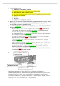 Examen Histología y biología celular (1243) 