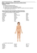 BIOS 251 Week 1 – 7 Anatomy Lab Terms List with Practice Pictures | Download To Score An A BIOS 251 Anatomy Lab Term List WEEK 1 – Anatomical Language; Organ Systems and Body Cavities Anatomical Language Objectives: 1. Describe the anatomical position 2. 