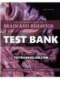 Introduction to Brain and Behavior 6th Edition Bryan Kolb Test Bank (16 Chapters)