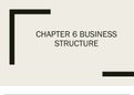 Business Structure 