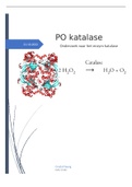BIOLOGIE PO katalase, onderzoek naar het enzym katalase 