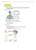 KT1 Anatomie, fysiologie en Pathologie (AFP) leerpakket 4