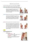 Anatomie - Spieren van de schoudergordel en arm