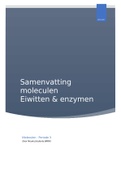 Samenvatting van alle hoorcolleges, werkcolleges en zelfstudies van het onderdeel Eiwitten & Enzymen van de cursus Moleculen (BMW10505)