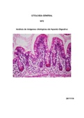 citologia digestiva apuntes propios anatomia patologica