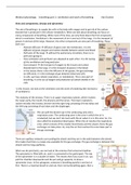 Medical physiology: summary of all lectures, webinars and Q&A's of the course 