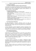 Resumen Módulo 3 - Derecho Civil I (UOC)