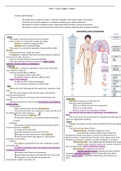 Chapter 3 - Medical Terminology 1