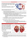 Resumen Histología del Sistema Cardiovascular
