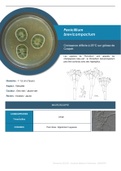 MYCOLOGIE  - Penicillium brevicompactum - Fiche récapitulative 1 page