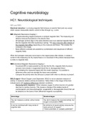 Summary Cognitive Neurobiology, UvA
