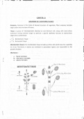  Anatomy Of Flowering Plants Notes Class 11 ( NCERT based )