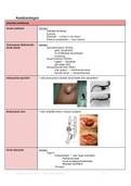Overzicht comprehensive care and anatomy minor 