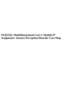 NUR2356: Multidimensional Care I: Module 07 Assignment- Sensory Perception Disorder Care Map.