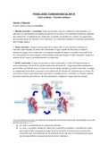 Fisiología del sistema cardiovascular III
