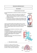 Fisiología del sistema cardiovascular II