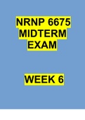 NURS 6675 Mid Term Exam / NRNP-6675 2023 Midterm Exam