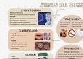 Presentación fisiopatologia general virus