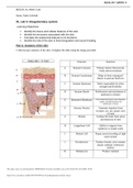 BIOS 251 Week 5 Lab Assignment: Integumentary System (SOLVED)
