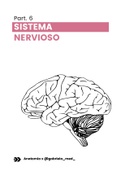 Sistema nervioso notas