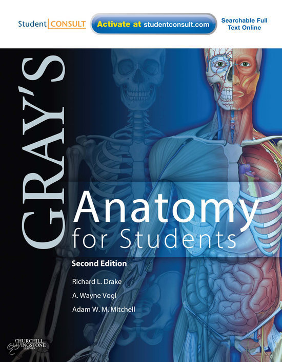 Grays Anatomy For Students