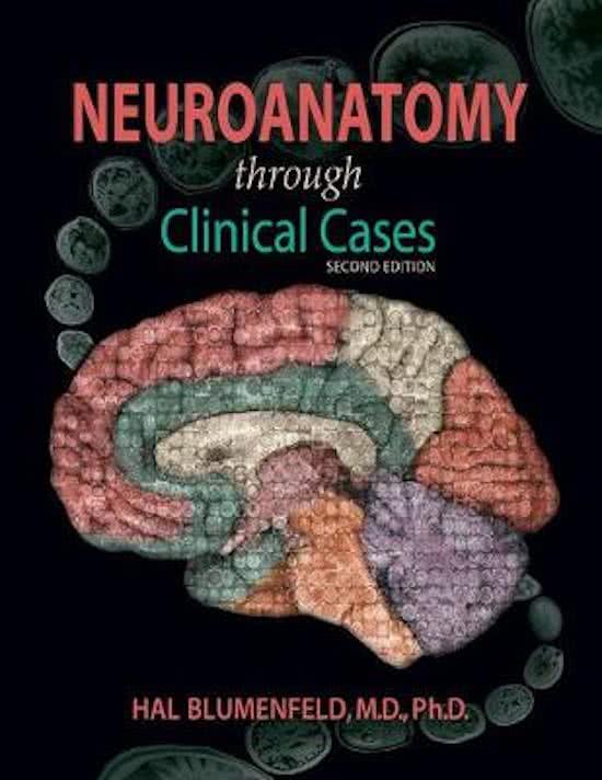 Summary Neuroanatomy Through Clinical Cases