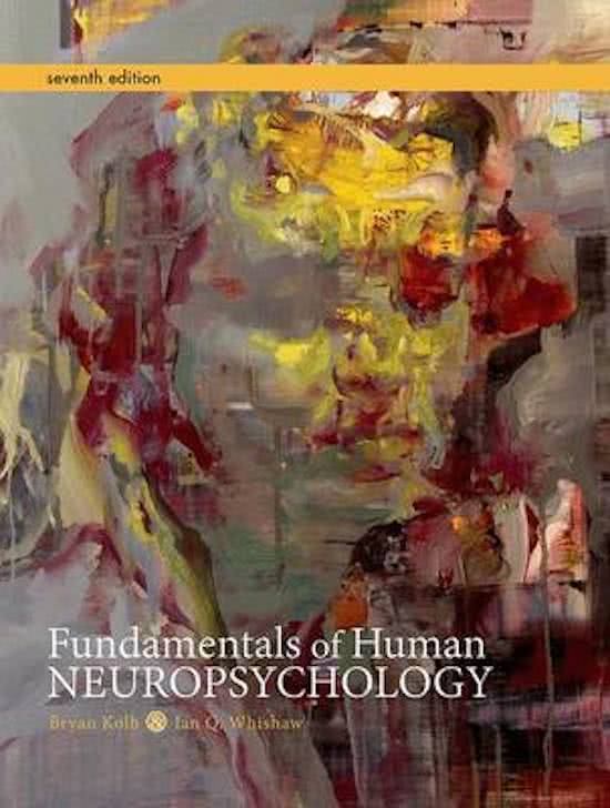 Fundamentals of Human Neuropsychology