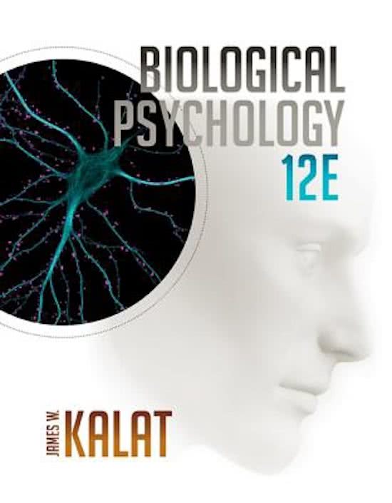 Exam 1 Study Guide - Biological Psychology